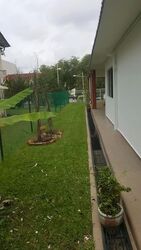 Eng Kong Park (D21), Semi-Detached #582483021